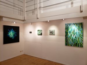 Read more about the article Cello Factory Exhibition