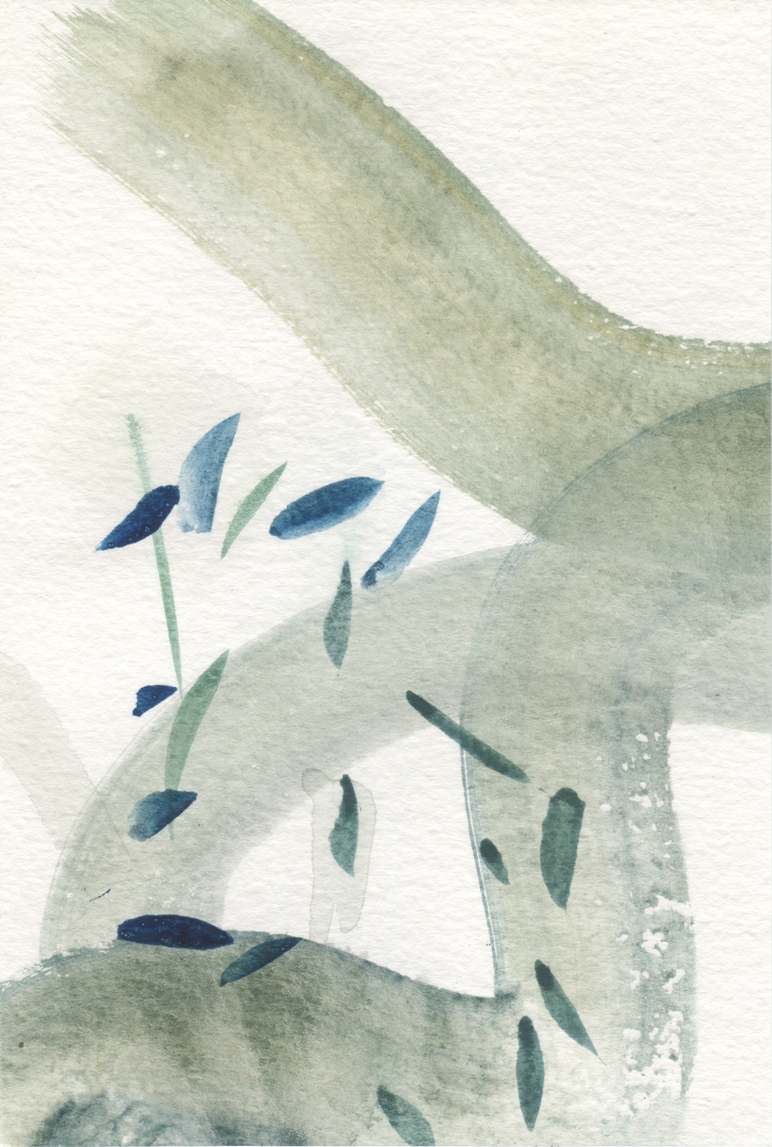 Amanda Ansell - Long Time No See. Watercolour on paper
